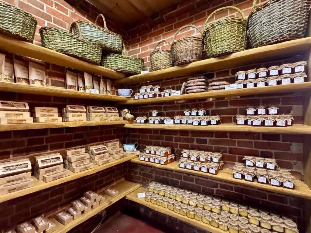 Школьный тур Задонск + Кудыкина гора